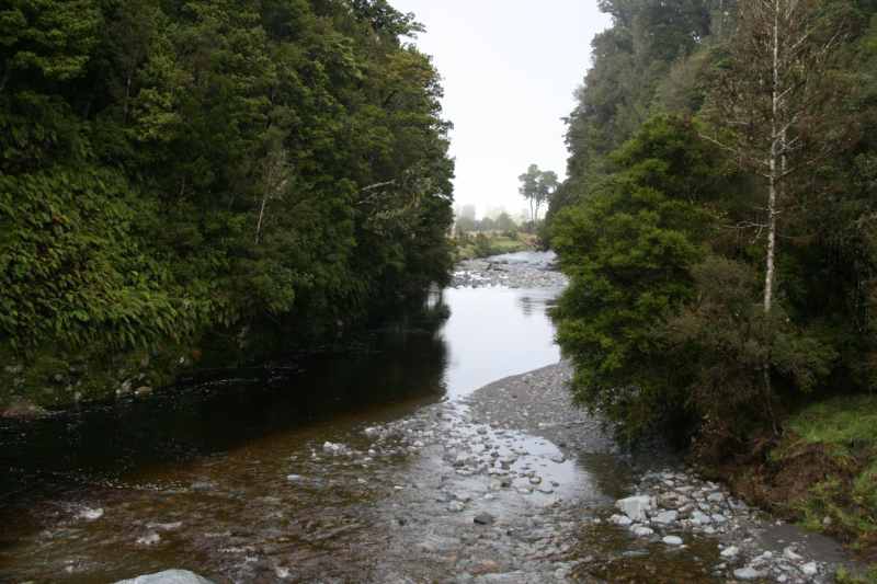 Nieuw-Zeeland 2011 - 1477